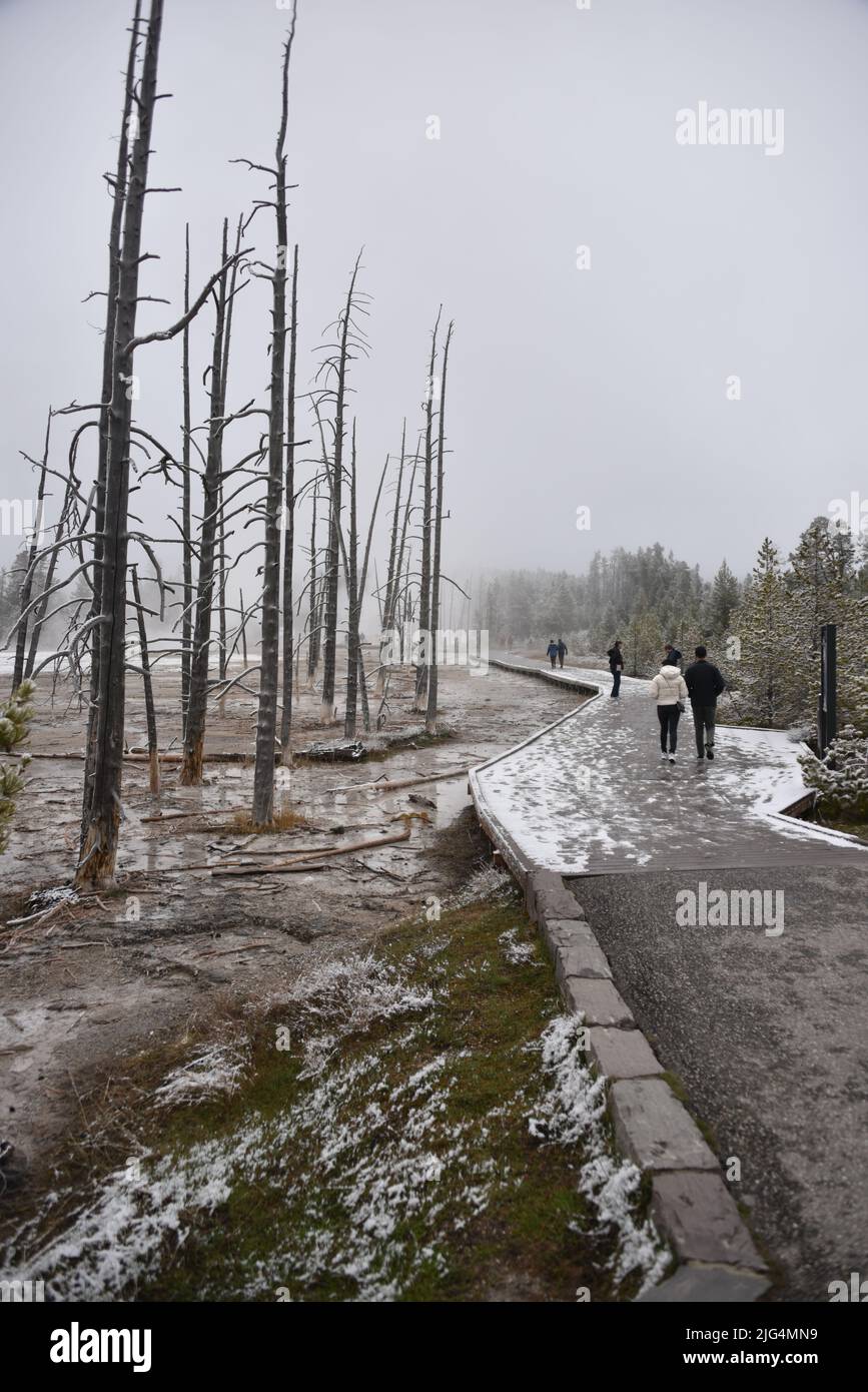 Parc national de Yellowstone, États-Unis. 5/21-24/2022. Beryl Spring est une source chaude en bord de route dans le bassin de Gibbon Geyser. Facilement accessible à pied. Grand surchauffé Banque D'Images