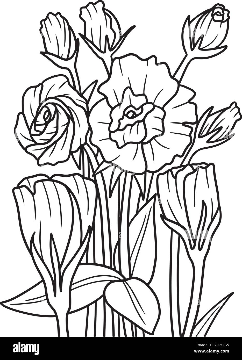 Page de coloriage des fleurs Lisianthus pour adultes Illustration de Vecteur