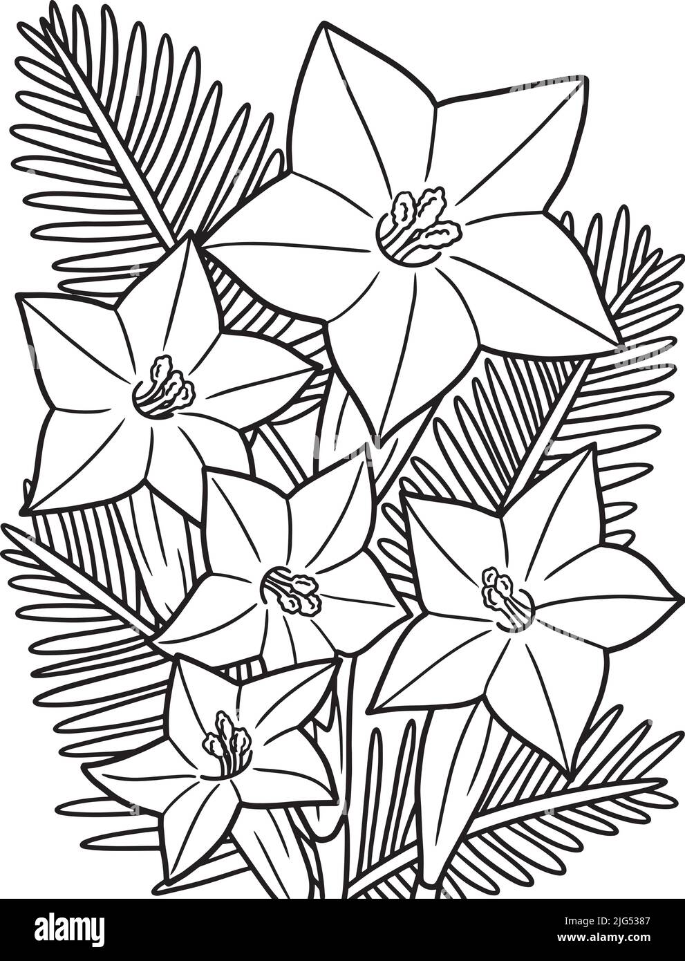Page de coloriage de fleurs de cyprès pour adultes Illustration de Vecteur