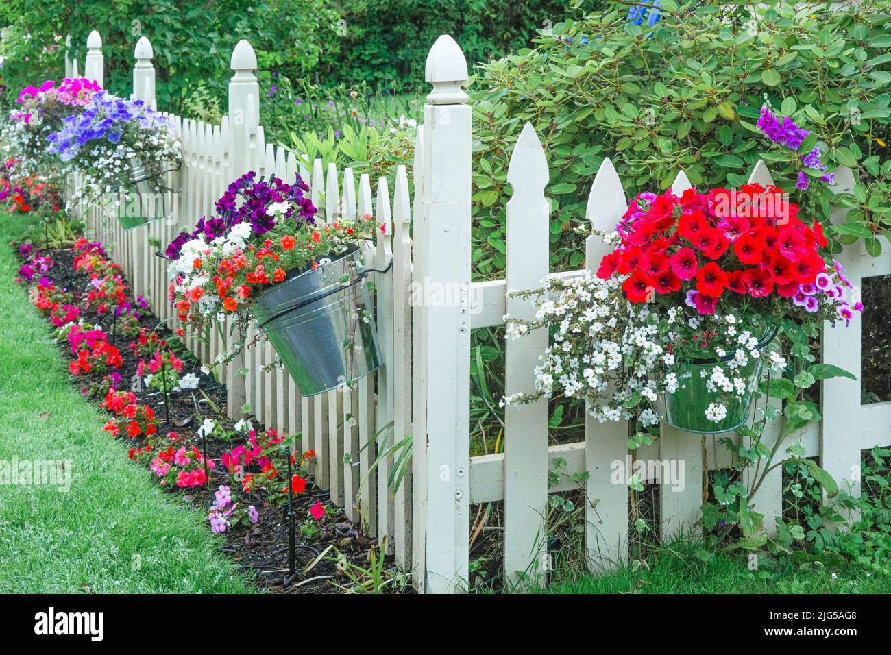 Seaux de fleurs sur clôture de jardin, Brentwood Bay, Greater Victoria, Colombie-Britannique, Canada Banque D'Images