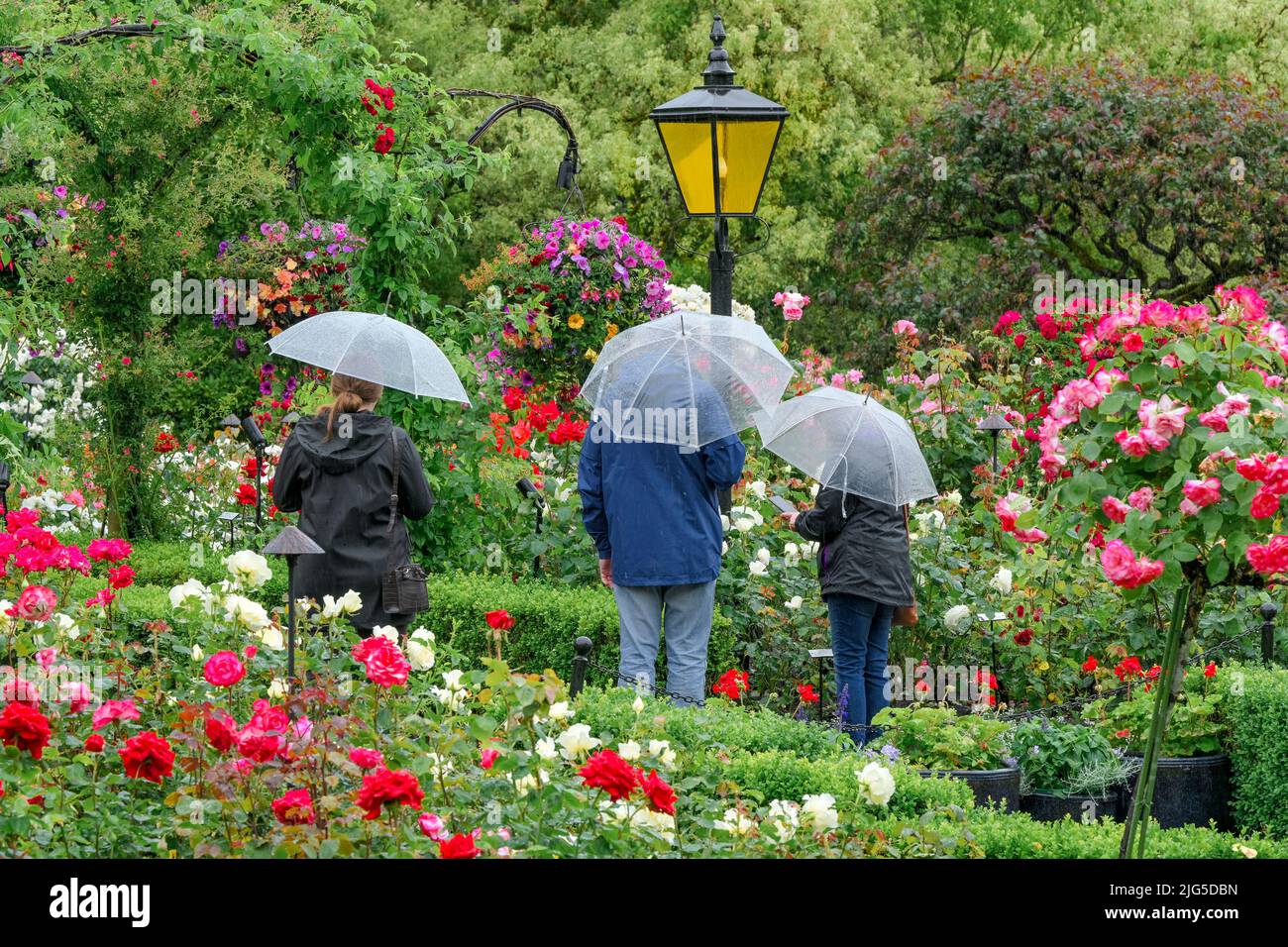 Personnes avec parasols, Rose Garden, Butchart Gardens, Brentwood Bay, Greater Victoria, Colombie-Britannique, Canada Banque D'Images
