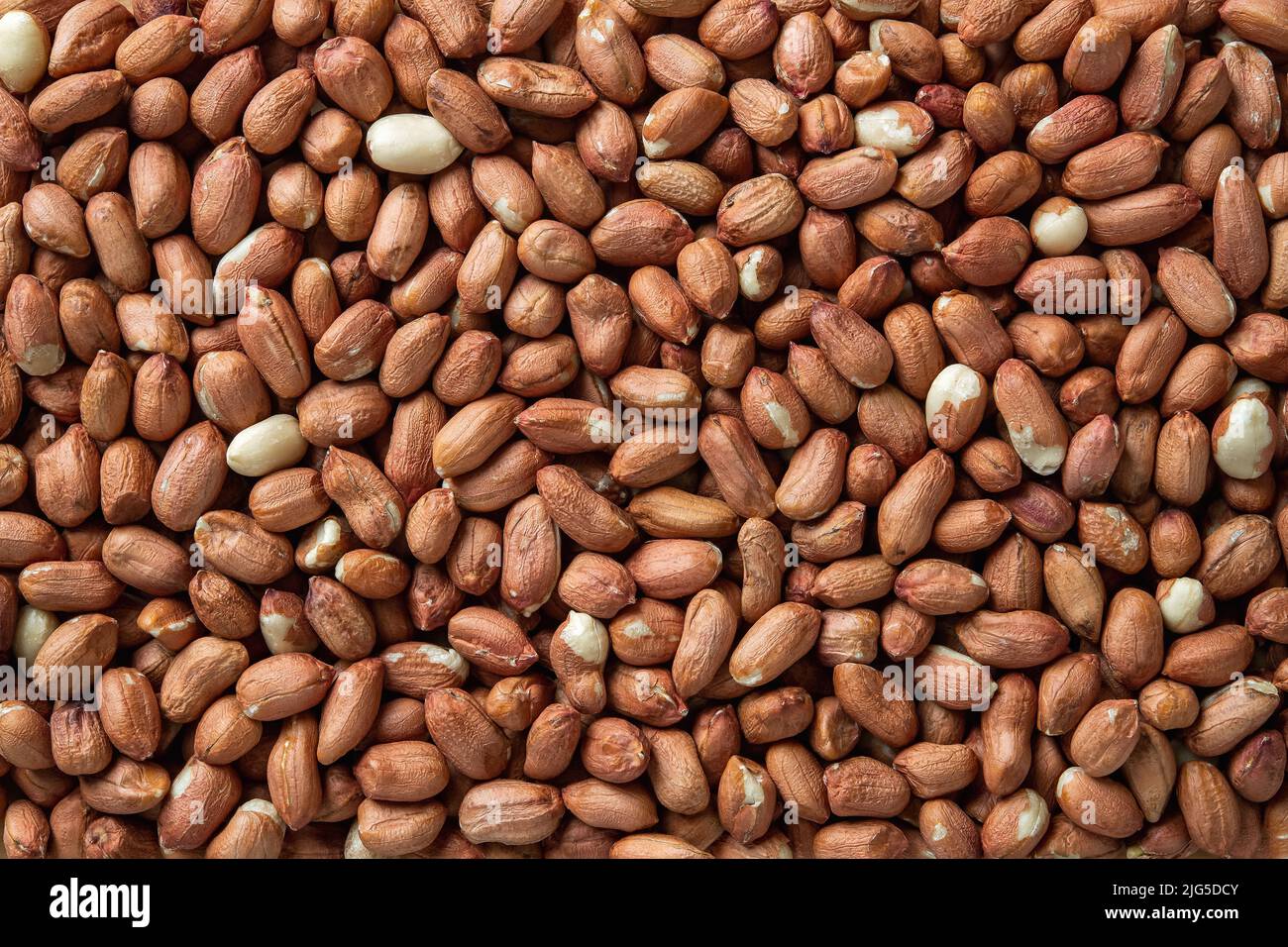 Arrière-plan d'arachides pelées brutes. Texture des graines d'arachide séchées. Noix de singe biologique entière sans coquille. Grains d'Arachis hypogaea pour la nutrition alimentaire Banque D'Images