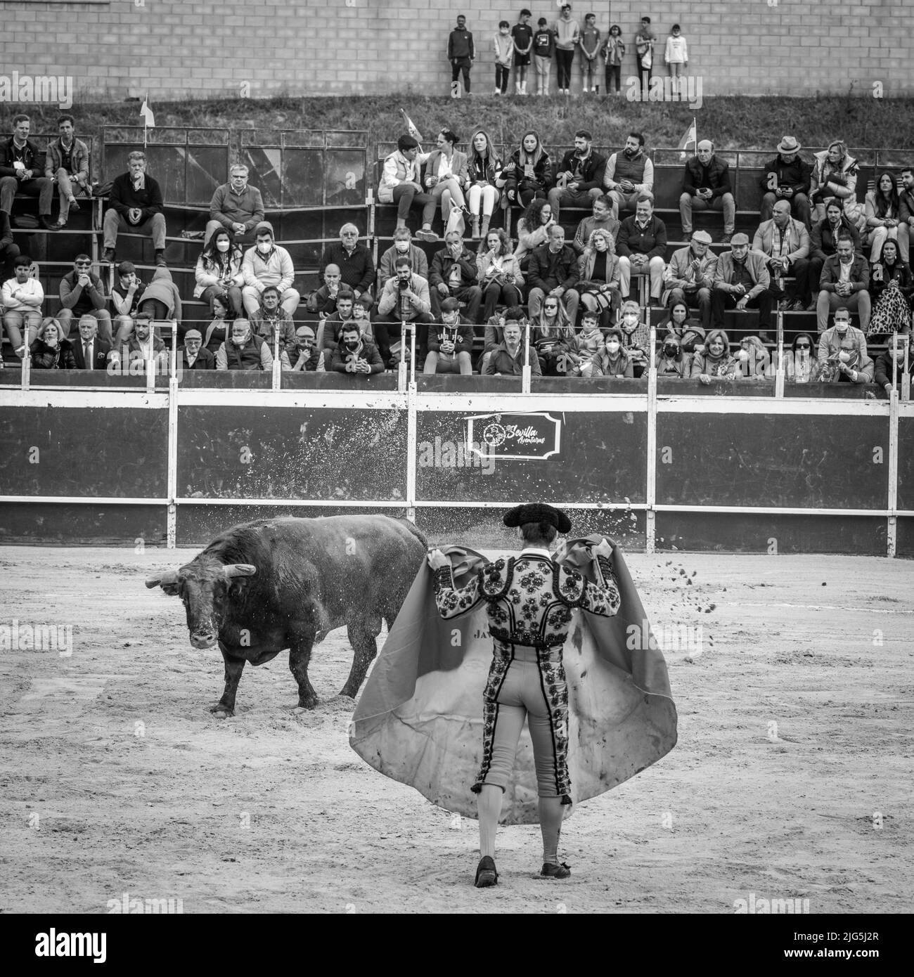 Corrida à Sanlucar, Espagne Banque D'Images