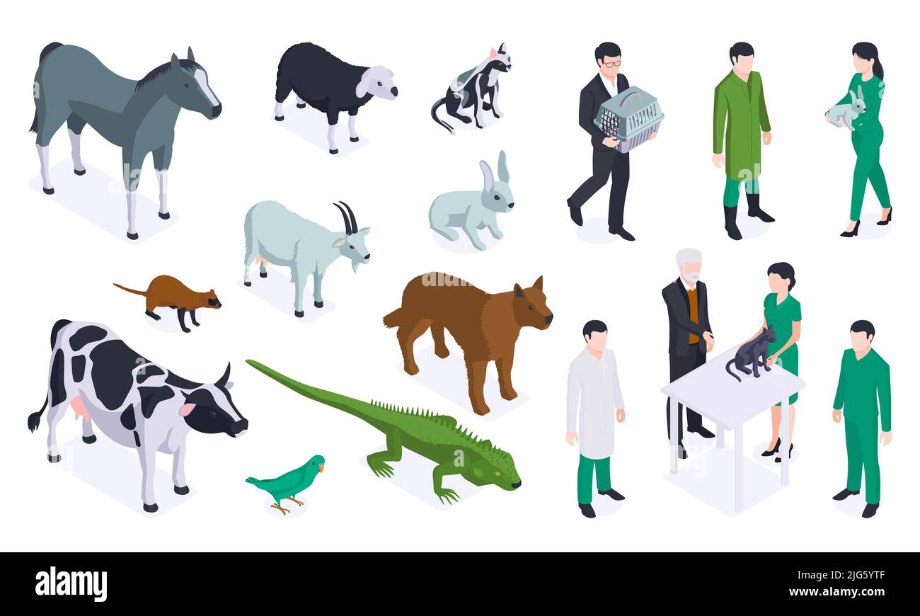 Jeu d'icônes de couleur isométriques vétérinaires avec différents types d'animaux et illustration vectorielle médecins Illustration de Vecteur
