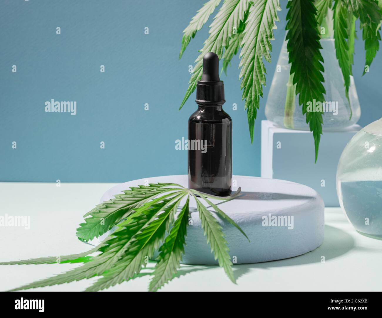 Produit cosmétique sérum d'huile de chanvre SBD sur un podium créatif, bouteille avec fond bleu de pipette Banque D'Images