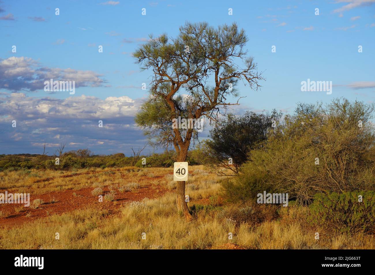 Le panneau de signalisation blanchi au soleil a cloué à un arbre au milieu de nulle part Banque D'Images