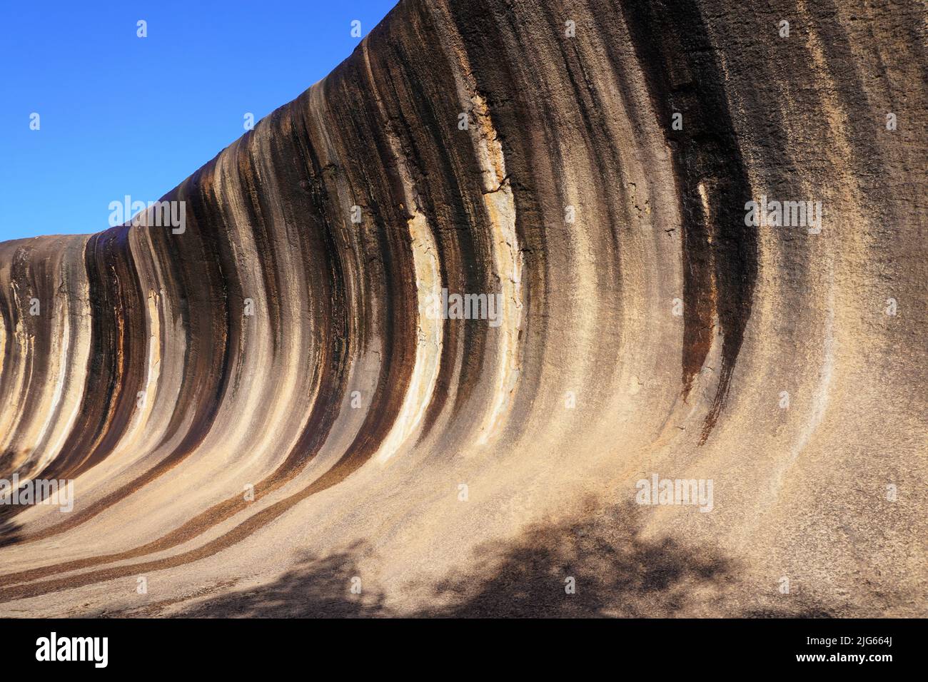 Soleil de midi illuminant la FORMATION WAVE ROCK Rock en Australie occidentale Banque D'Images