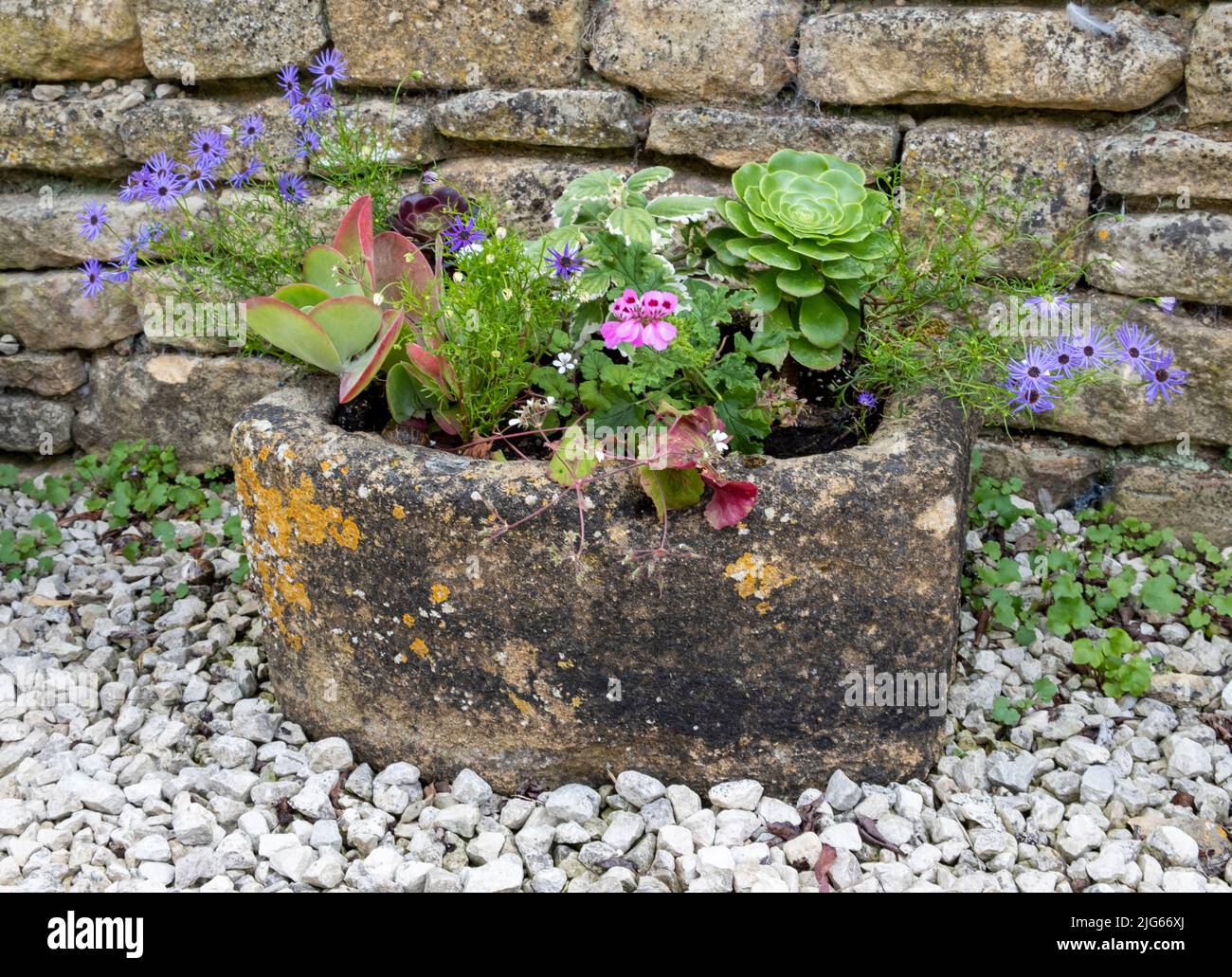Plantoir et mur en pierre aux jardins de la maison de Bourton, Morton à Marsh. Ville marchande des Cotswolds, Gloucestershire, Angleterre, royaume-uni Banque D'Images