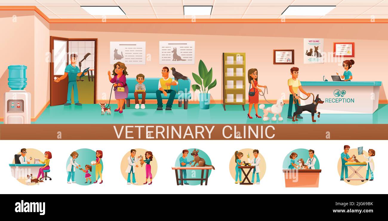 Clinique vétérinaire dessin animé infographique illustré avec le bureau de réception salle d'attente animaux propriétaires vétérinaire vérifier la chirurgie illustration vecteur Illustration de Vecteur