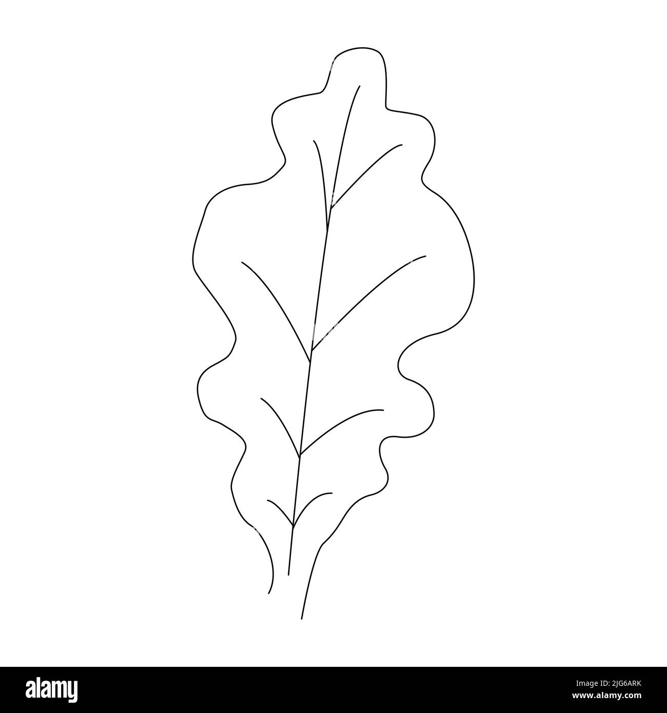 Icône linéaire en chêne. Illustration de traits fins. Tracé de contour vectoriel. Illustration de Vecteur