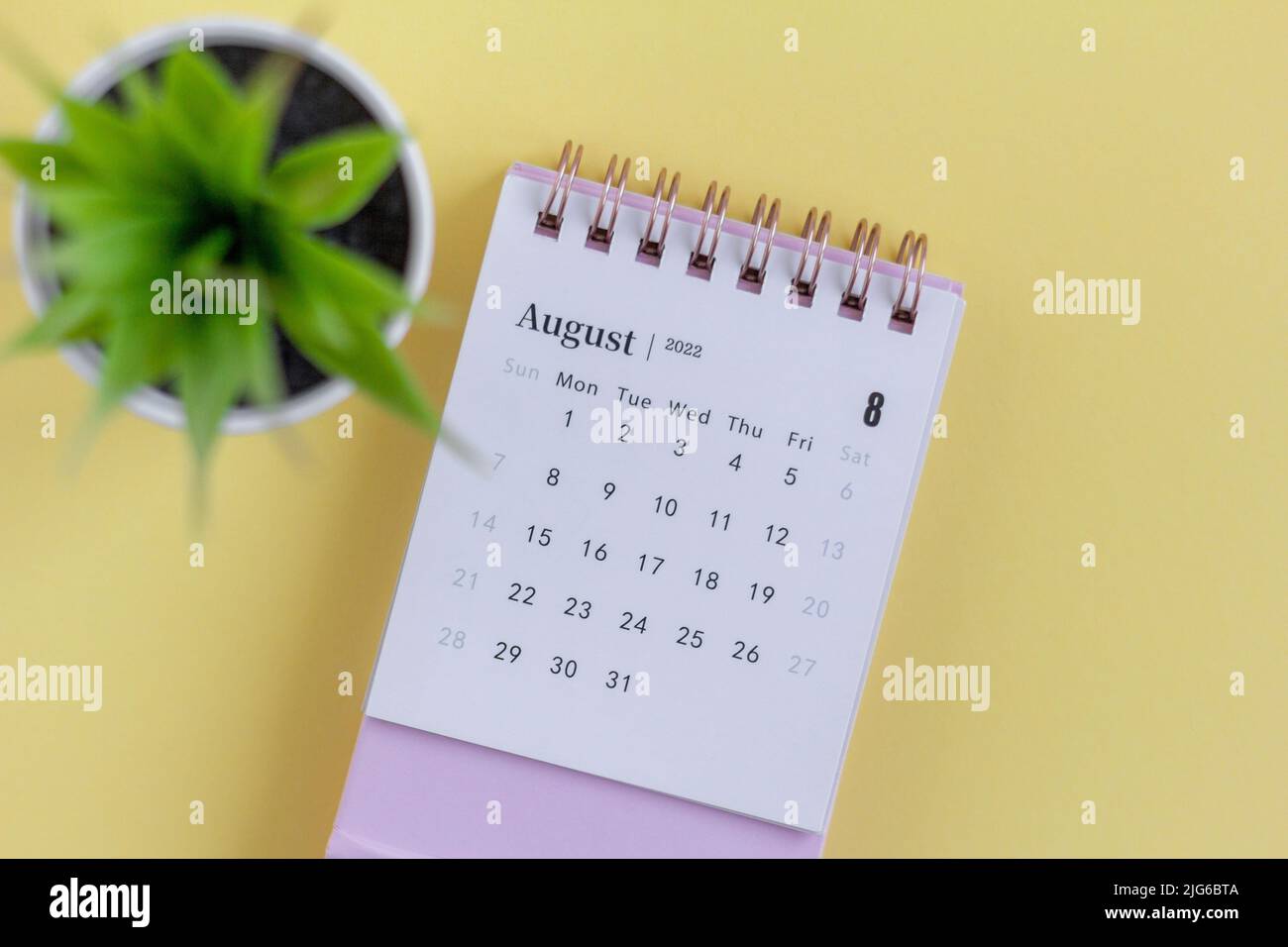 Calendrier de bureau pour août 2022. Calendrier de planification et de gestion de chaque date Banque D'Images