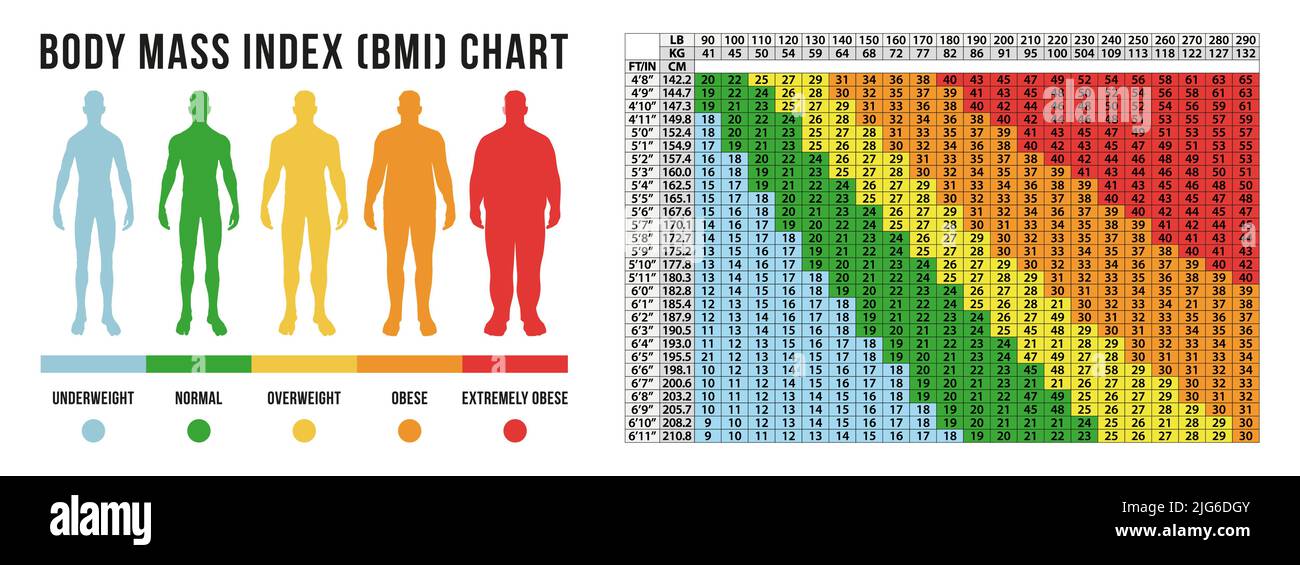 Graphique d'index de masse corporelle, IMC en format vectoriel Illustration de Vecteur