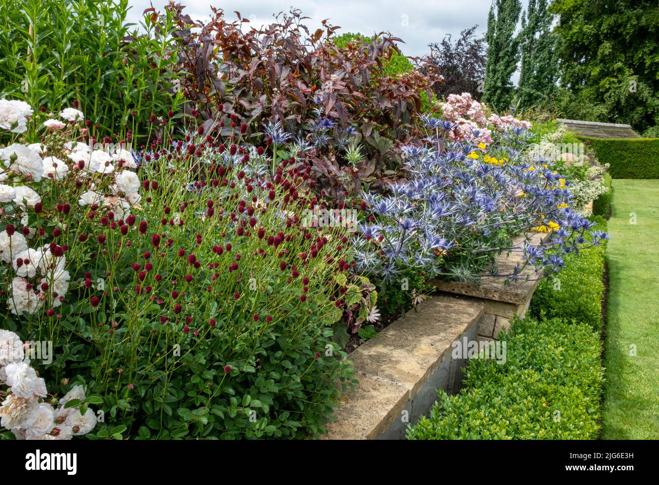 Plantation dans les jardins de Bourton House, Morton à Marsh. Ville marchande des Cotswolds, Gloucestershire, Angleterre, royaume-uni Banque D'Images