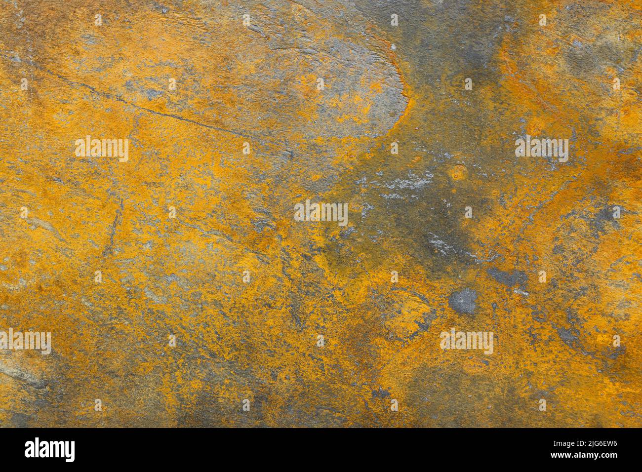 Arrière-plan de texture de surface rouillée. Ancien panneau en métal Banque D'Images