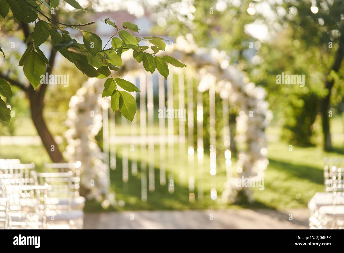 Les feuilles vertes d'un arbre sont illuminées par des rayons du soleil. Arc de mariage sur fond Banque D'Images
