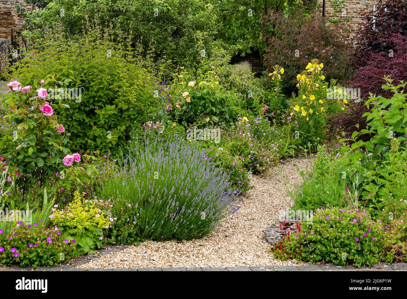 Bordure herbacée de fleurs joignant un chemin de jardin de gravier au jardin communautaire Hall Cliffe, Baildon, Yorkshire. Banque D'Images