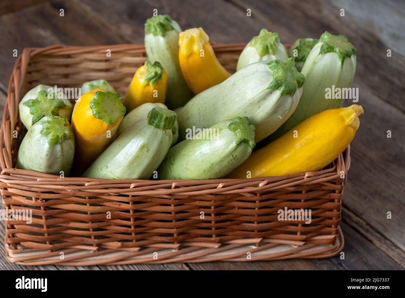 Courgettes multicolores jaune, vert, blanc, orange sur la table en bois. La nourriture. Courgette fraîchement récoltée dans un panier, courge d'été. Courgettes vertes cueillies. Banque D'Images