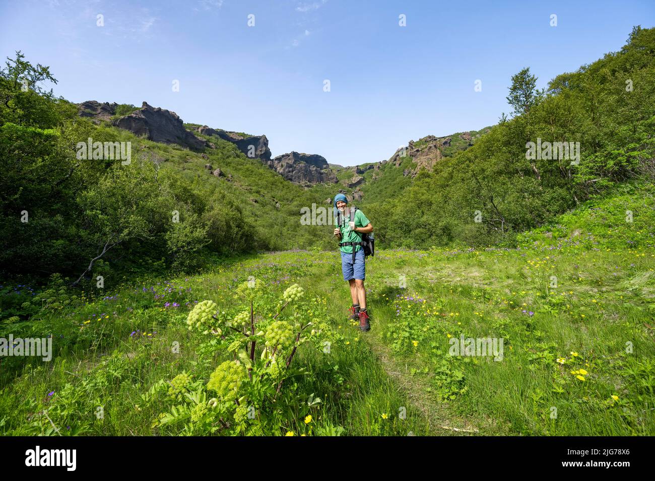 Sentier de randonnée pédestre sur le sentier à travers la prairie de fleurs, sur la crête de Tindfjoell, nature sauvage, les montagnes islandaises, Porsmoerk, Suourland, Islande Banque D'Images