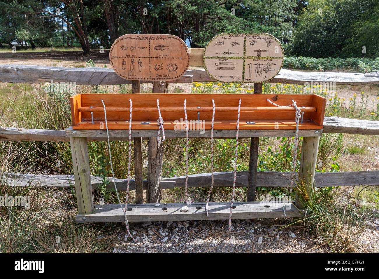 Cordes pour apprendre à nouer différents types de nœud au camp de scout de Brownsea Island. Nœuds de nouage. Banque D'Images