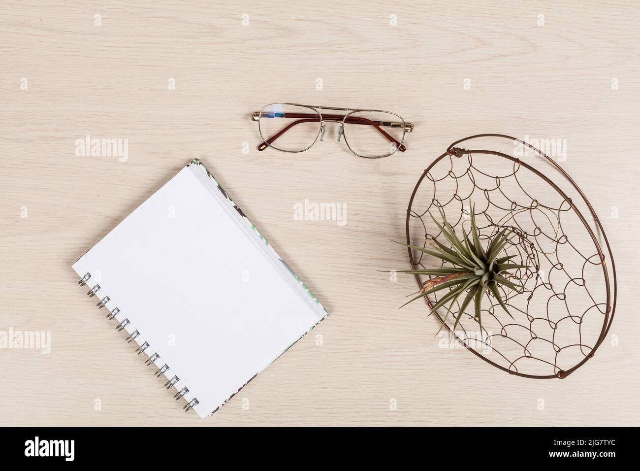 Carnet, lunettes yeux et plante ornementale. Banque D'Images