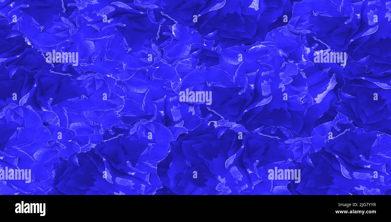 Pétales de rose fond graphique Bavière Allemagne Banque D'Images