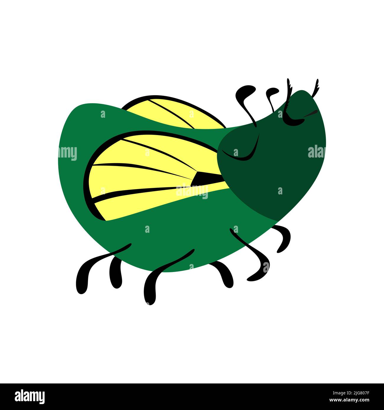 Clipart vecteur d'animaux et d'insectes isolés sur fond blanc Illustration de Vecteur