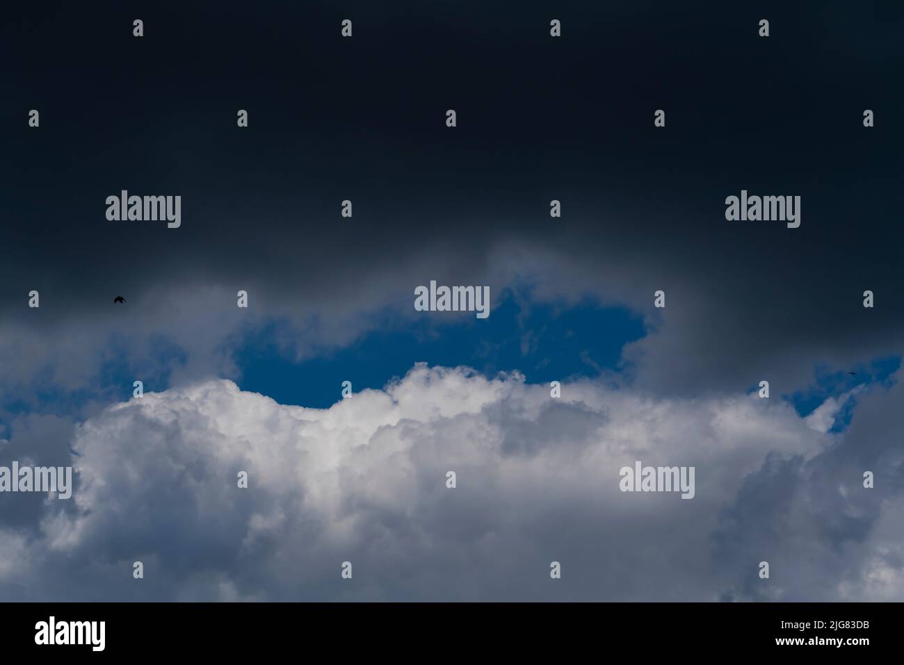 Nuages de pluie gris et blanc, dans le ciel bleu moyen et les oiseaux Banque D'Images