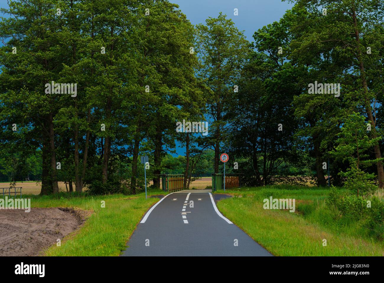 Belle piste de vélo et de skate loin des villes en été dans l'état de Brandebourg en Allemagne, flaeming skate section près de Luckenwalde Banque D'Images