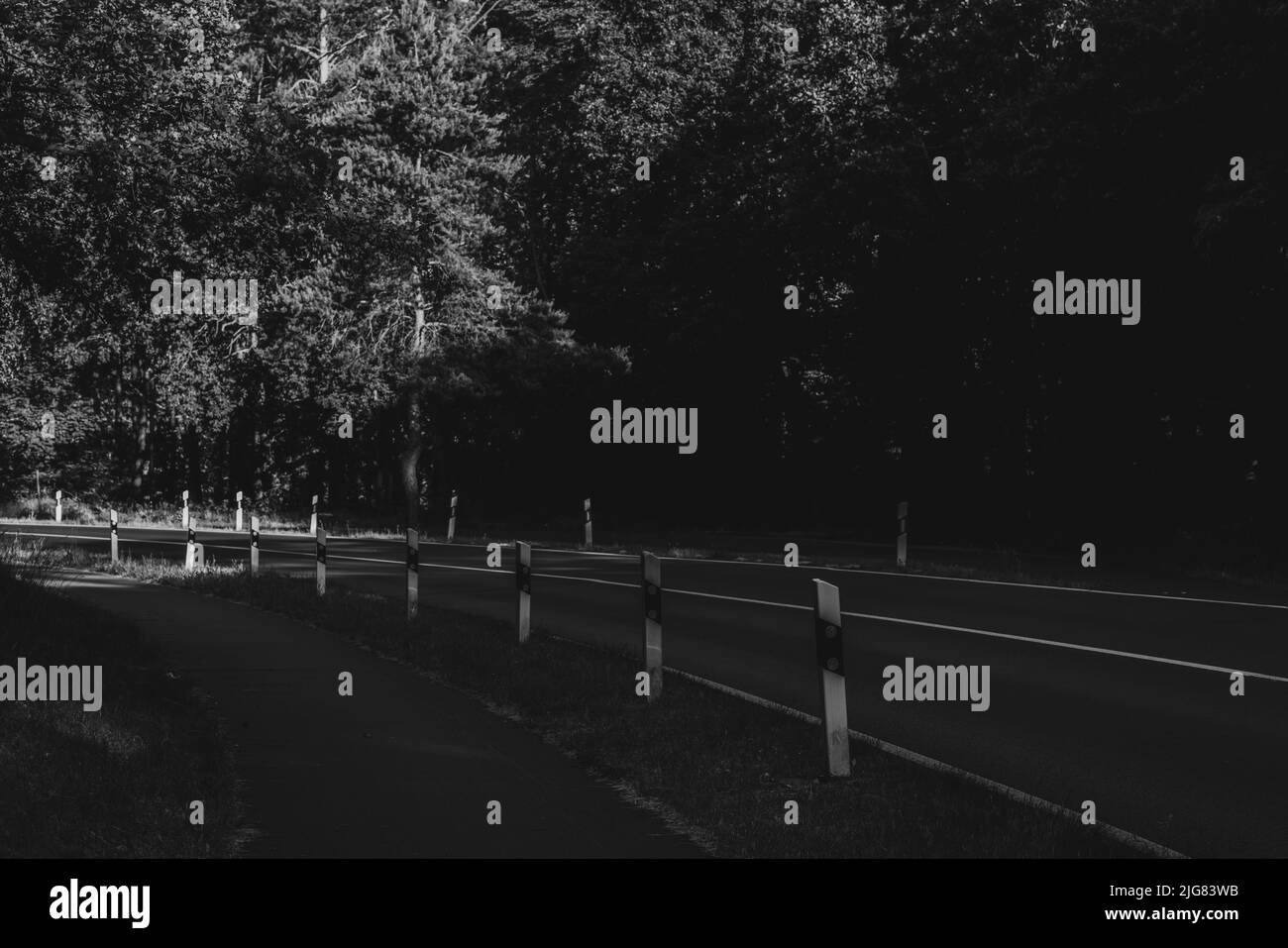 Route de campagne en été en début de matinée, faible profondeur de champ, beau bokeh doux, look noir et blanc nostalgique Banque D'Images