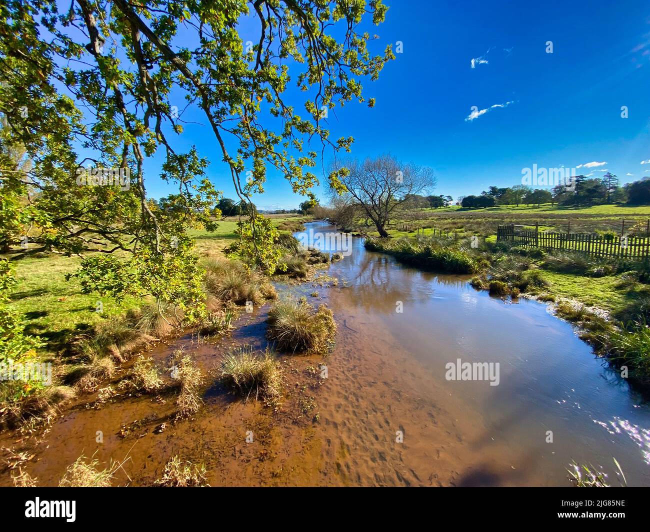 Otter River à l'Ottery St Mary Banque D'Images