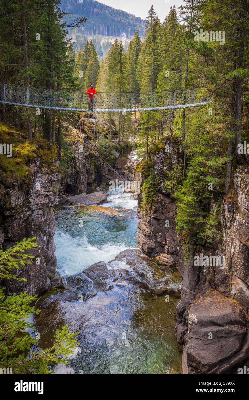 Italie, Trentin-Haut-Adige, province de trente, parc naturel de Paneveggio e Pale di San Martino, une personne seule debout sur le pont suspendu de la gorge de Travignolo, Dolomites Banque D'Images