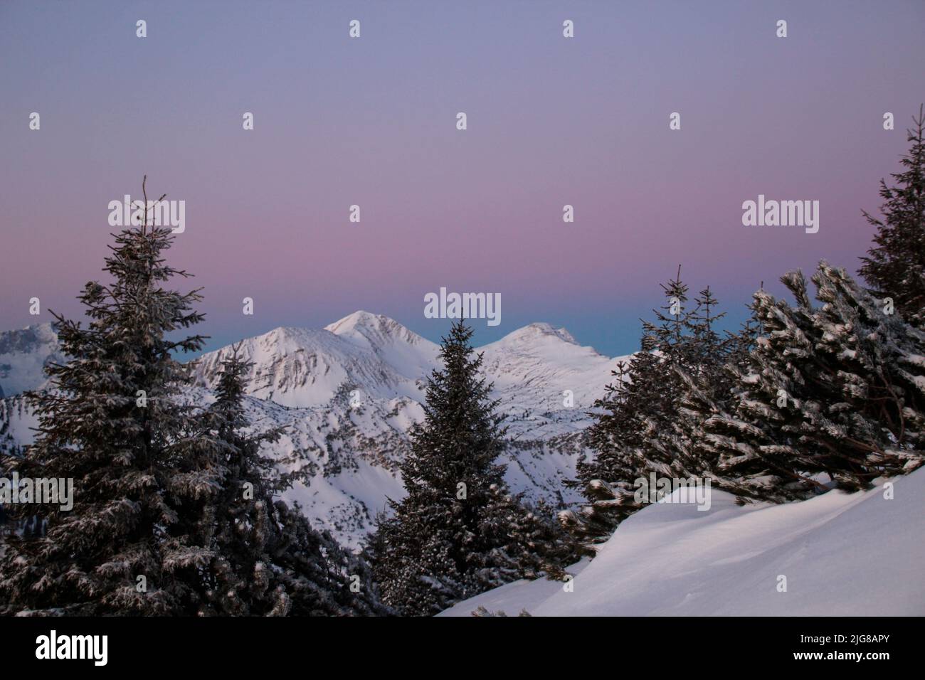 Randonnée d'hiver à travers la forêt de montagne jusqu'à Simetsberg. Vue sur l'Estergebirge avec Krottenkopf, Hohe Kiste, Allemagne, Bavière, Walchensee, Einsiedl, Banque D'Images