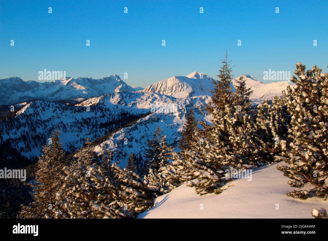 Randonnée d'hiver à travers la forêt de montagne jusqu'à Simetsberg. En arrière-plan les montagnes Wetterstein, Alpspitze, Zugspitze, Allemagne, Bavière, Walchensee, Einsiedl, Banque D'Images