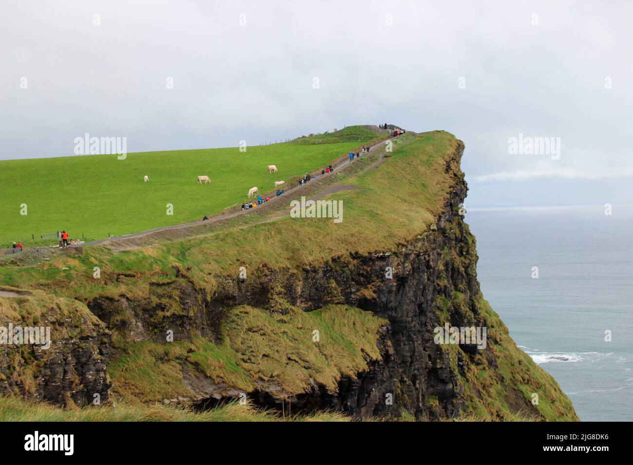 Les falaises de Moher, comté de Clare, Irlande, Europe. Banque D'Images