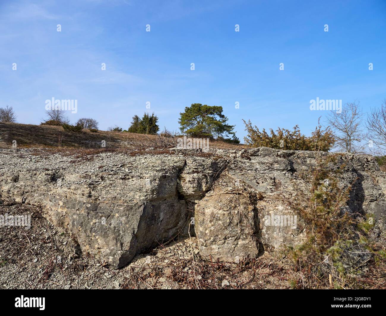 Réserve naturelle Ruine Homburg avec la plus grande prairie contiguë entièrement sèche en Allemagne et la forêt de heath steppe à Hohhafter Berg près de Gössenheim et Karsbach, Basse-Franconie, Franconie, Bavière, Allemagne Banque D'Images