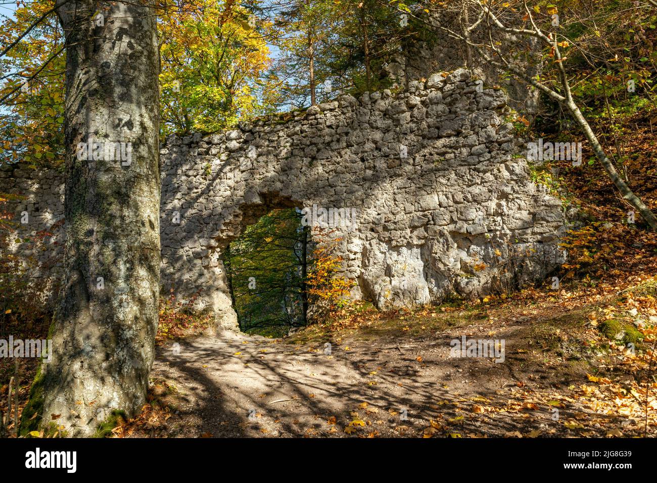 Les ruines du château de Wartstein, un ancien château de roche dans l'Alb souabe, à 150 mètres au-dessus de la vallée de la Grande Lauter. Le complexe du château est un château de mur de bouclier en position éperon avec un mur de bouclier de 12m haut tour comme donjon, dans la protection de laquelle le palais a été situé. Banque D'Images