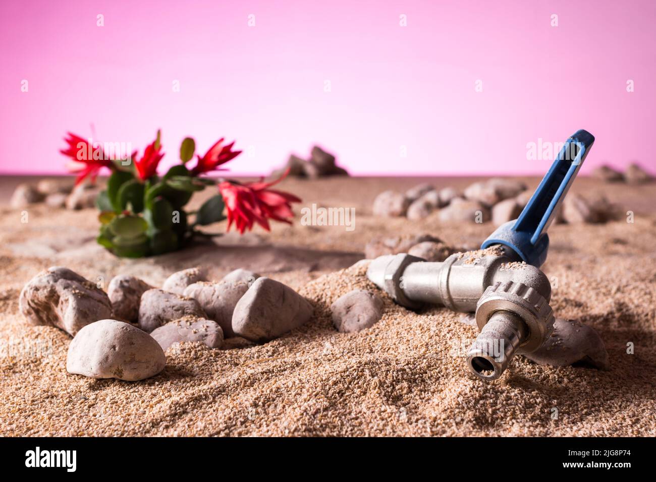 Gros plan d'un robinet ouvert sec enterré par du sable désertique avec une plante succulente sur un fond de ciel rose sec et menaçant Banque D'Images