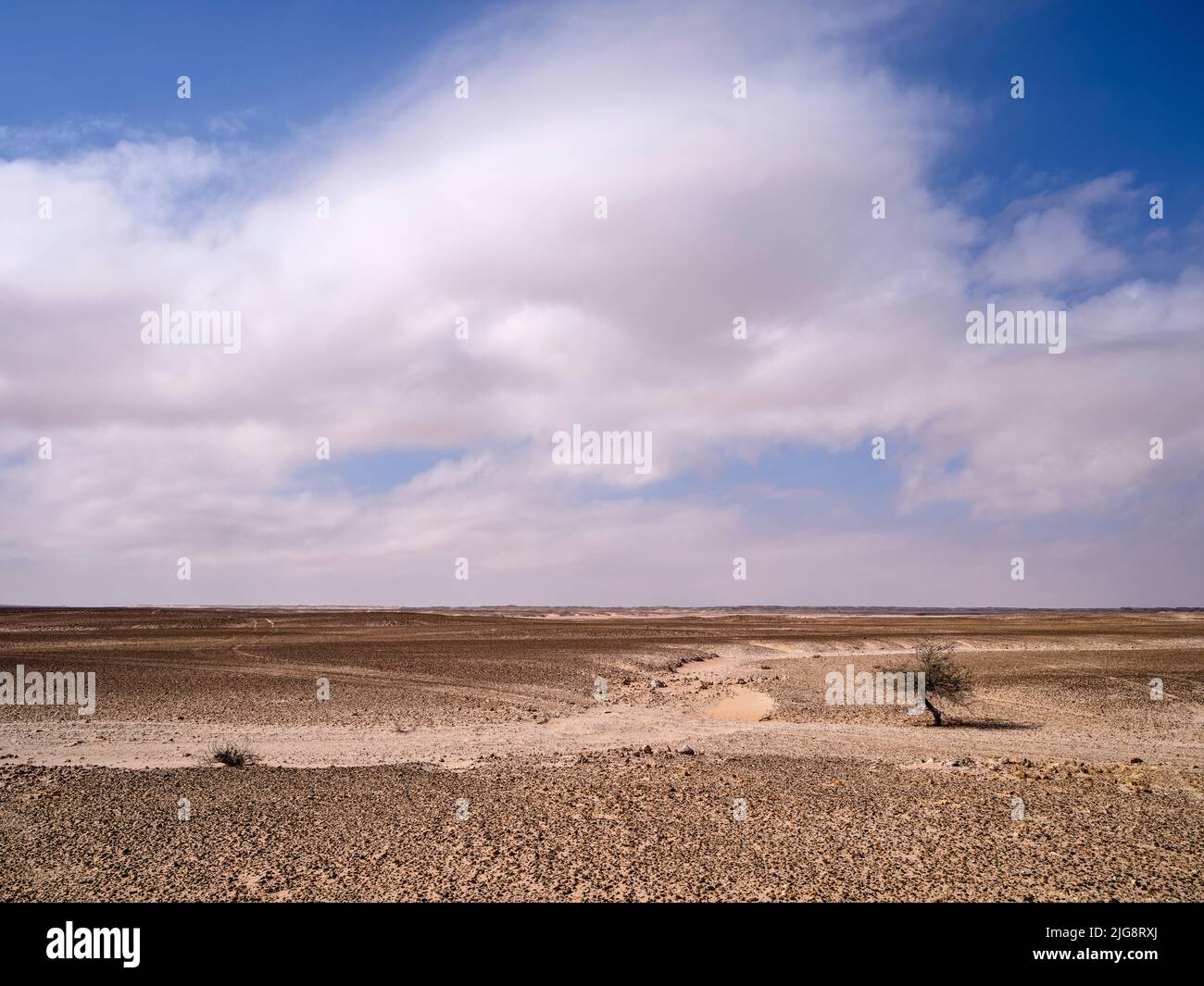 Sur la route de l'Al Huqf, un désert de pierre entre la mer d'Arabie et le RUB al-Kali, Oman Banque D'Images