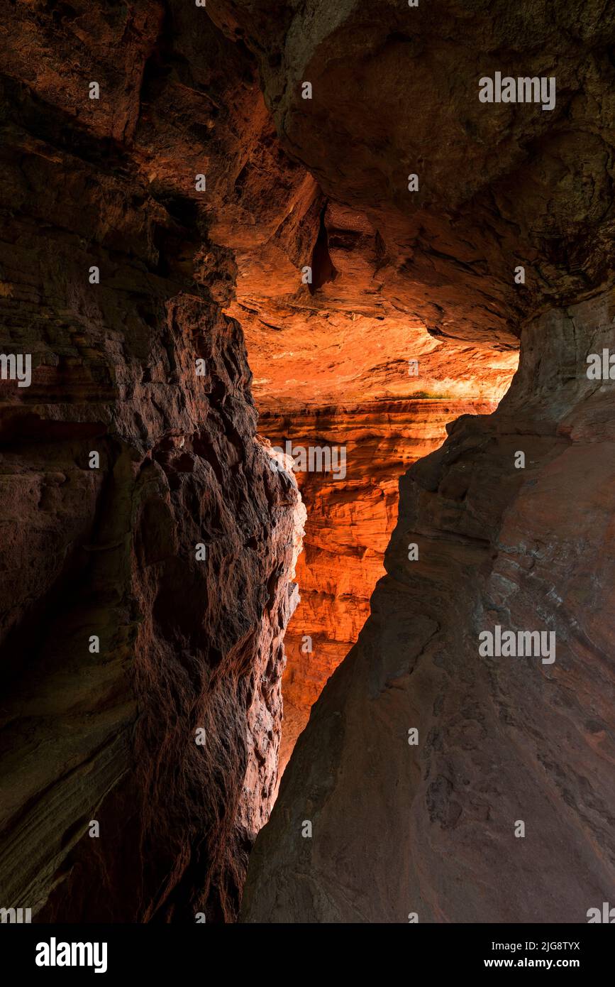 Le matin, la roche brille à l'Altschlossfelsen, formation rocheuse de grès rouge près d'Eppenbrunn, parc naturel de Pfälzerwald, Réserve de biosphère de Pfälzerwald-Nordvogesen, Allemagne, Rhénanie-Palatinat Banque D'Images