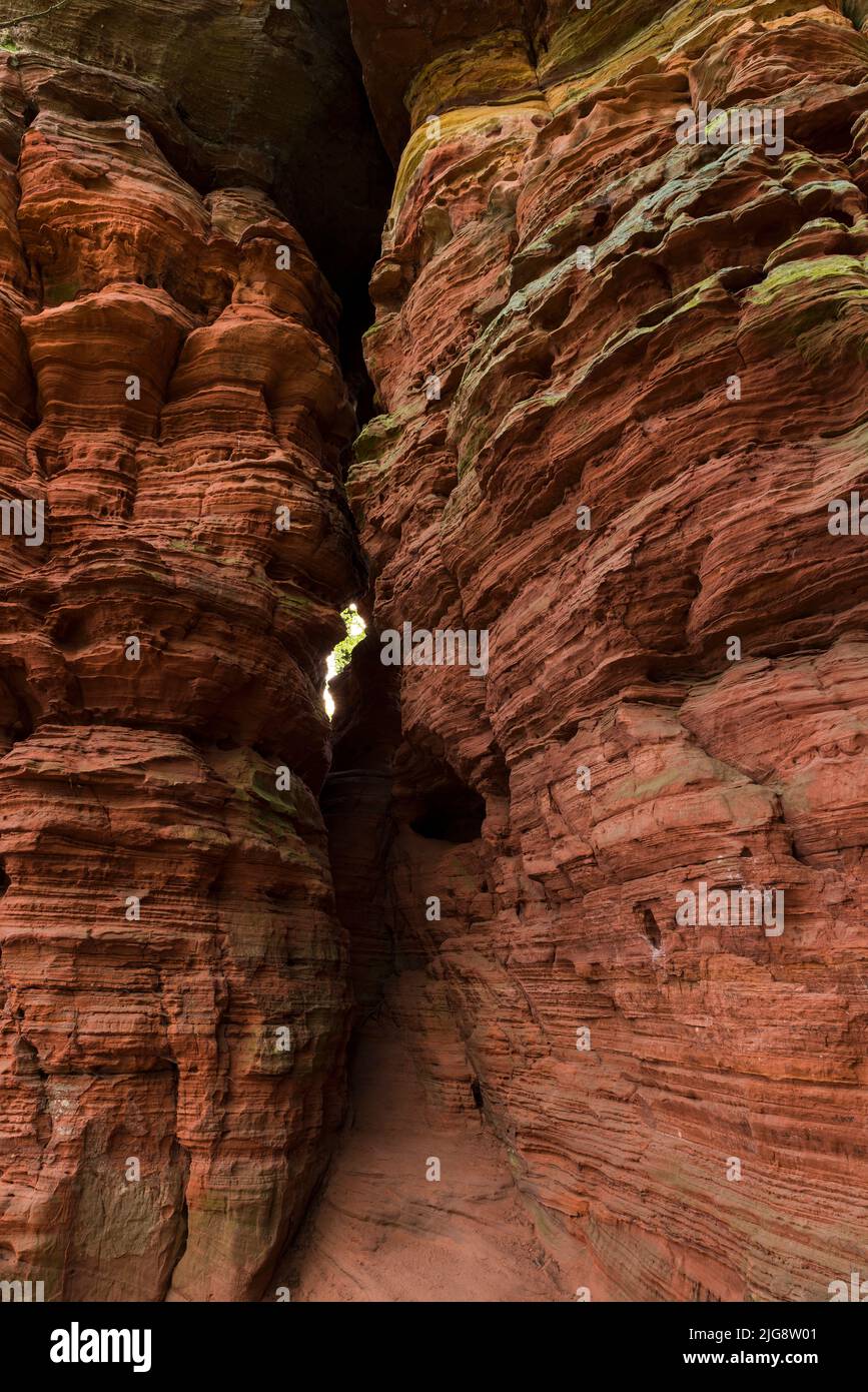 Altschlossfelsen, formation rocheuse de grès rouge près d'Eppenbrunn, Parc naturel de Pfälzerwald, Réserve de biosphère de Pfälzerwald-Nordvogesen, Allemagne, Rhénanie-Palatinat Banque D'Images