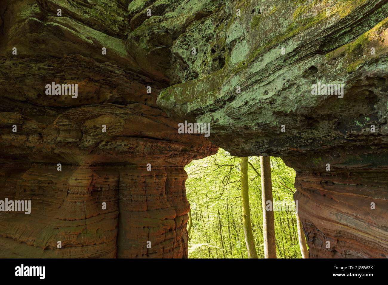 Altschlossfelsen, formation rocheuse de grès rouge près d'Eppenbrunn, percée rocheuse, Parc naturel de Pfälzerwald, Réserve de biosphère de Pfälzerwald-Nordvogesen, Allemagne, Rhénanie-Palatinat Banque D'Images