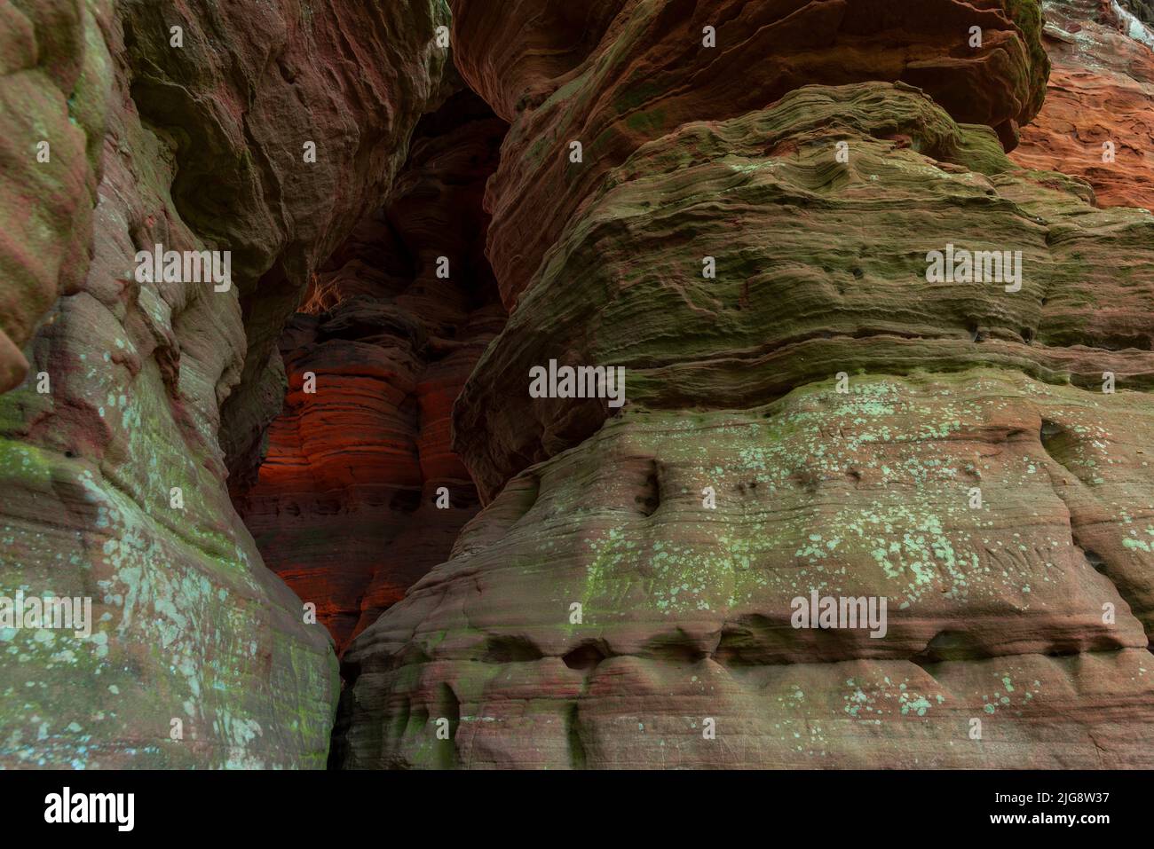 Le matin, la roche brille à l'Altschlossfelsen, formation rocheuse de grès rouge près d'Eppenbrunn, parc naturel de Pfälzerwald, Réserve de biosphère de Pfälzerwald-Nordvogesen, Allemagne, Rhénanie-Palatinat Banque D'Images