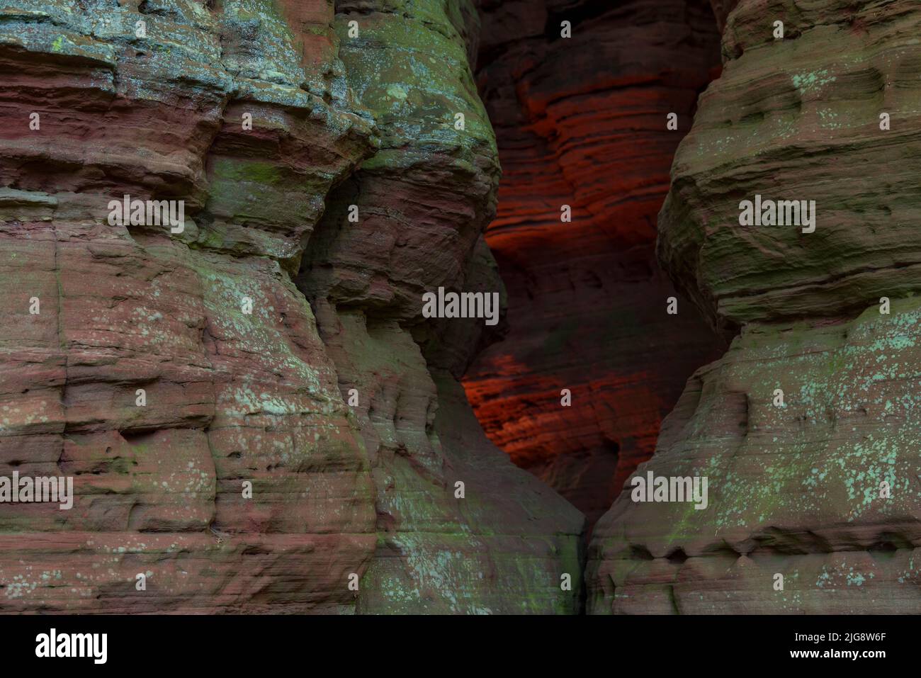 Le matin, la roche brille à l'Altschlossfelsen, formation rocheuse de grès rouge près d'Eppenbrunn, parc naturel de Pfälzerwald, Réserve de biosphère de Pfälzerwald-Nordvogesen, Allemagne, Rhénanie-Palatinat Banque D'Images