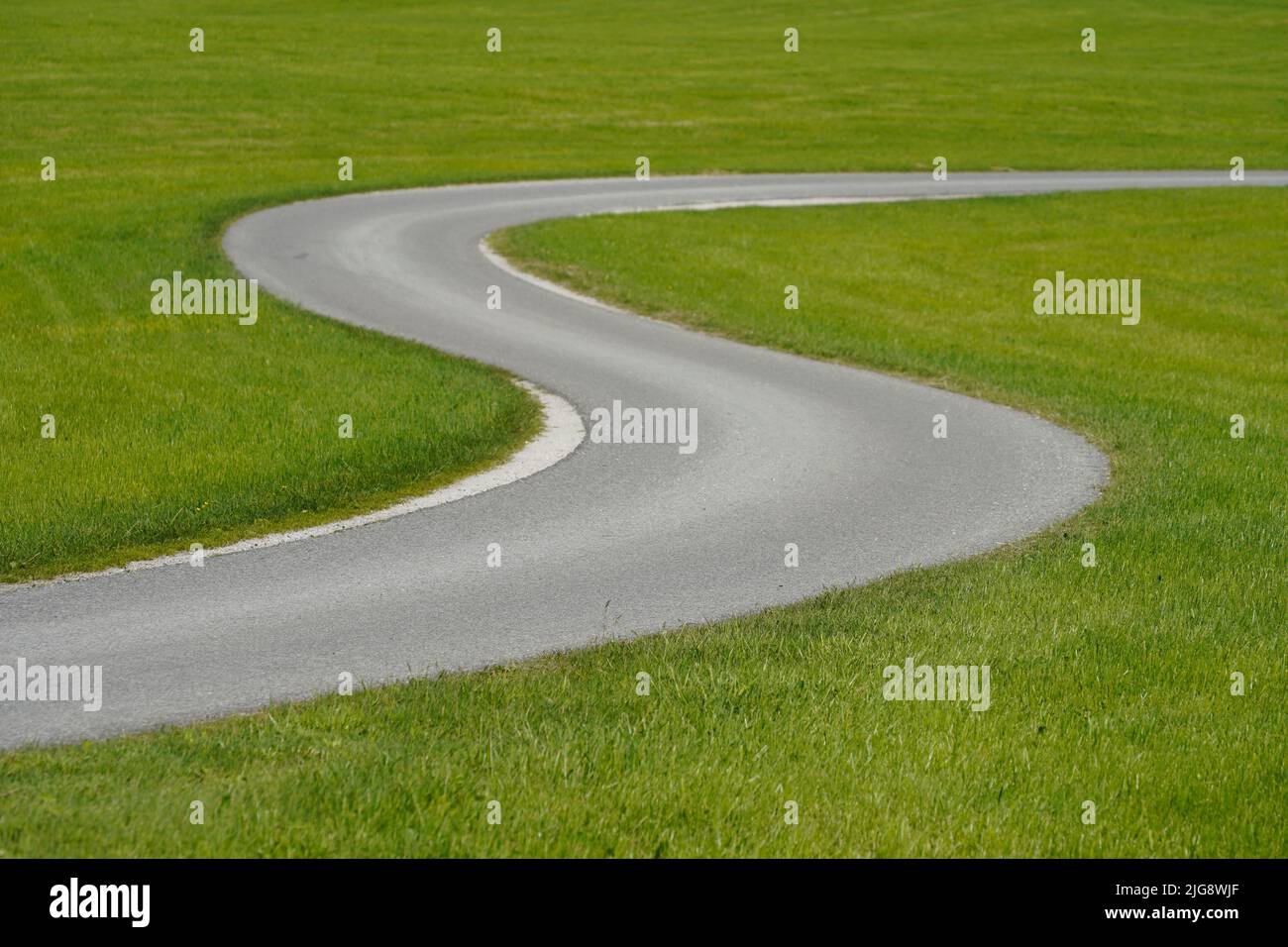 Allemagne, Bavière, haute-Bavière, Comté de Traunstein, paysage culturel, Prairie, étroite, sinueuse route de campagne, courbe en S. Banque D'Images