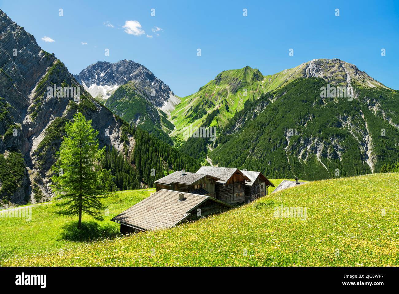 Prairie florale, montagnes et huttes lors d'une journée d'été ensoleillée à Lechtaler Auszeitdorf Pfafflar. Alpes de Lechtal, Tyrol, Autriche Banque D'Images