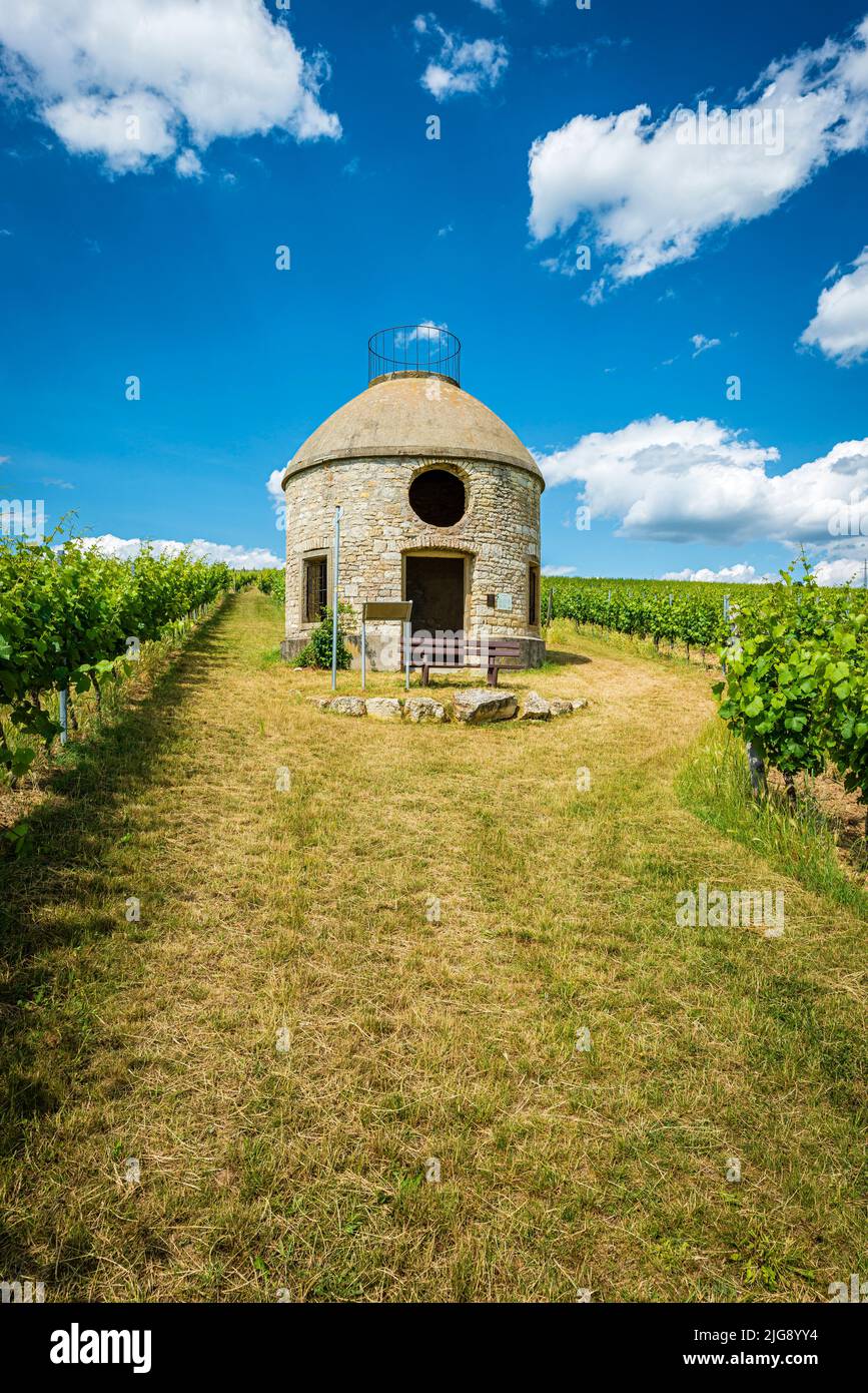 Babo Cottage à Rheinhessen, un cottage dans le vignoble, dit trullo, en référence à des cottages similaires à Apulia, sert d'abri pour les vignerons par mauvais temps, Banque D'Images