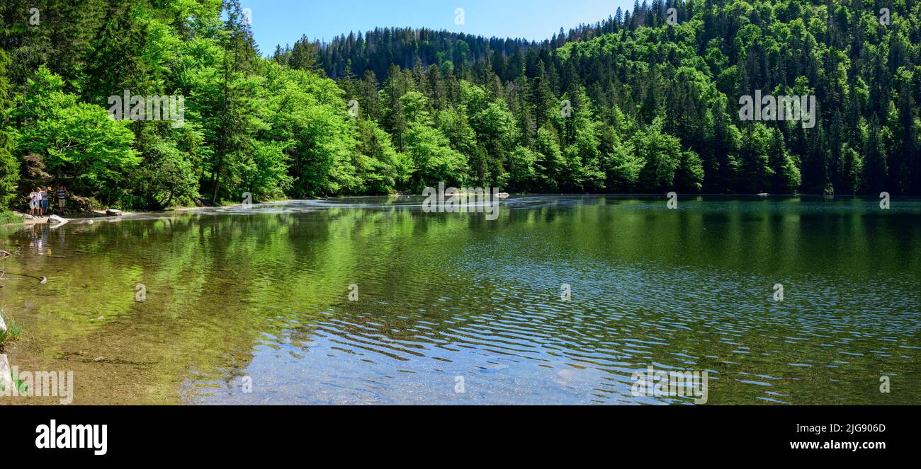 Allemagne, Bade-Wurtemberg, Forêt Noire, Feldberg, le lac de Feldsee. Banque D'Images