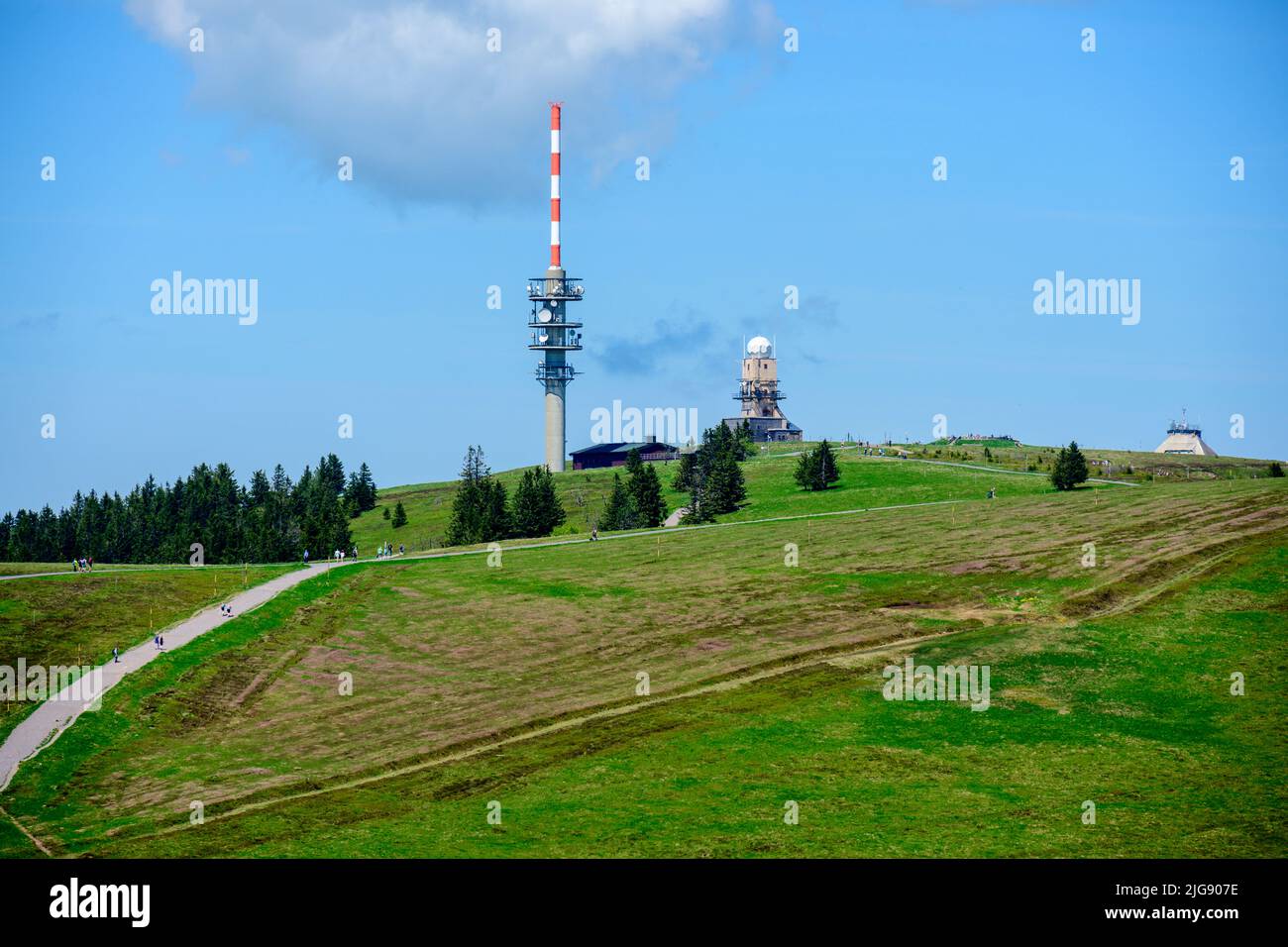 Allemagne, Bade-Wurtemberg, Forêt Noire, Feldberg, vue sur Feldsee. Banque D'Images