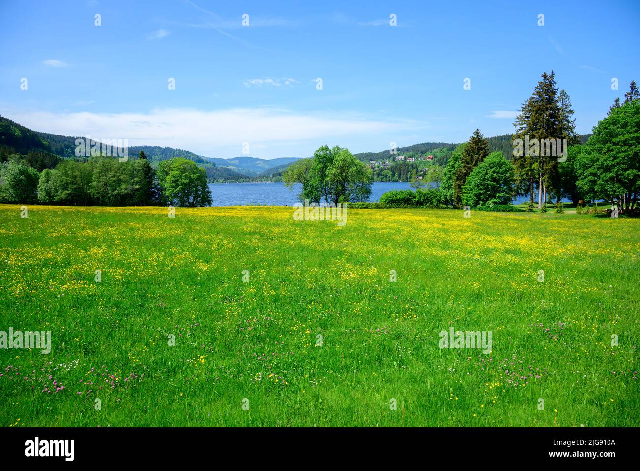 Allemagne, Bade-Wurtemberg, Forêt Noire, Titisee, Wiese am See. Banque D'Images