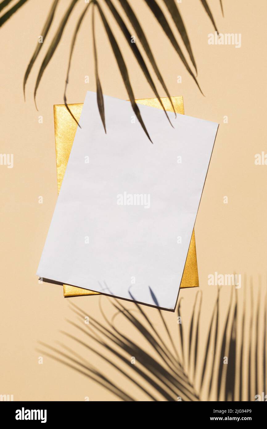 Vue de dessus de l'ombre verte des feuilles tropicales et de deux enveloppes. Pose à plat. Concept d'été minimal avec feuilles de palmier. Espace de copie créatif. Banque D'Images